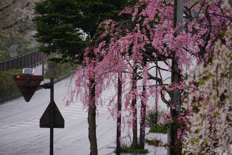 f:id:GSX-R1000:20140502220036j:image:w240