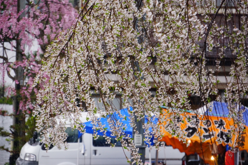 f:id:GSX-R1000:20140502220037j:image:w240