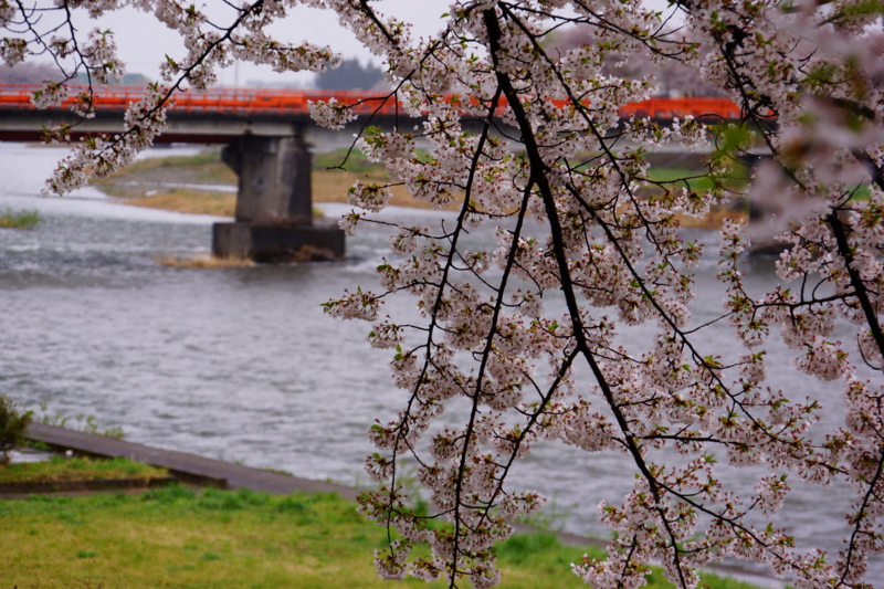 f:id:GSX-R1000:20140502220102j:image