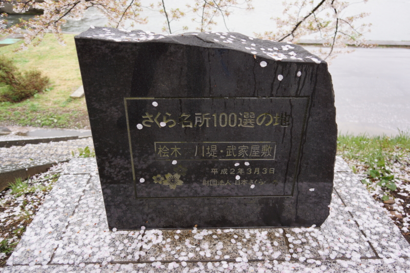 f:id:GSX-R1000:20140502220104j:image:w240