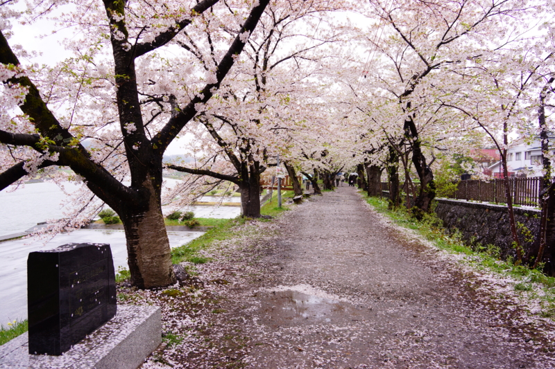 f:id:GSX-R1000:20140502220105j:image