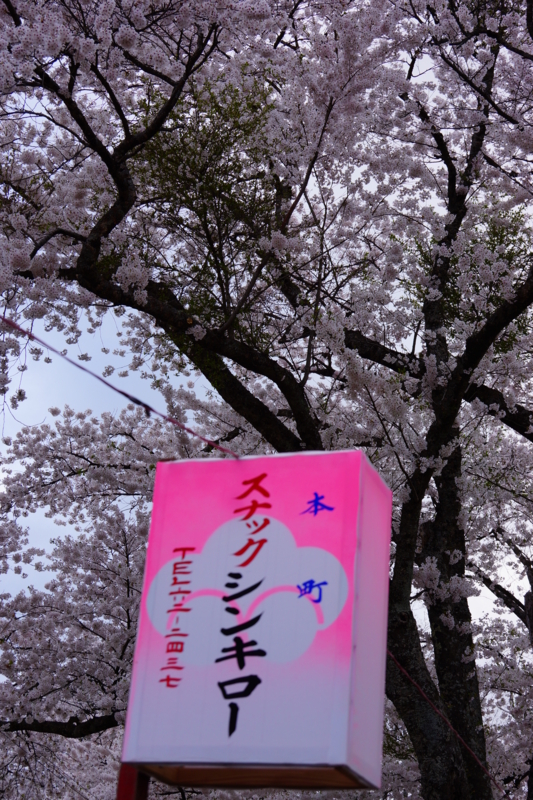 f:id:GSX-R1000:20140502220122j:image