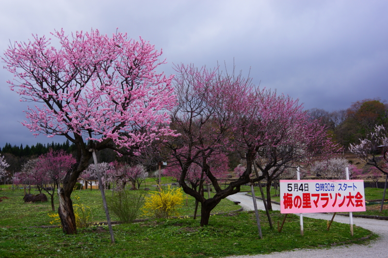 f:id:GSX-R1000:20140502220124j:image