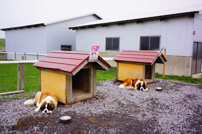 f:id:GSX-R1000:20140511200109j:image:w240