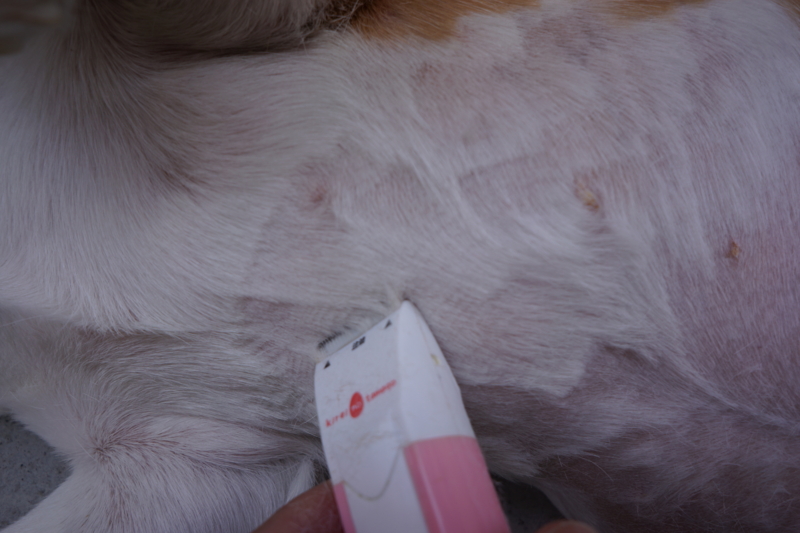 f:id:GSX-R1000:20140530200326j:image f:id:GSX-R1000:20140530200326j:image