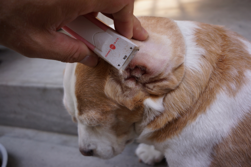 f:id:GSX-R1000:20140530200328j:image f:id:GSX-R1000:20140530200328j:image