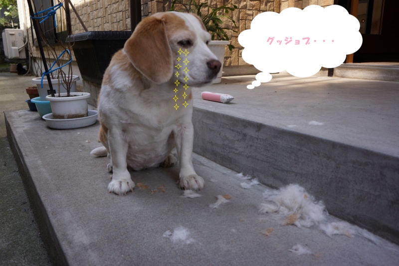 f:id:GSX-R1000:20140530200330j:image f:id:GSX-R1000:20140530200330j:image