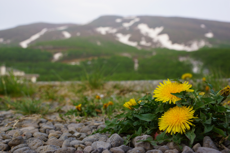 f:id:GSX-R1000:20140530200956j:image