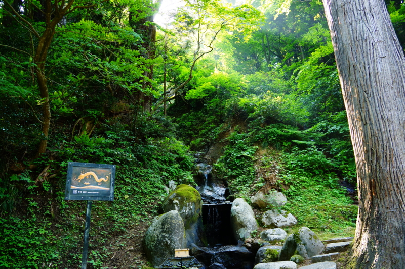 f:id:GSX-R1000:20140531191002j:image