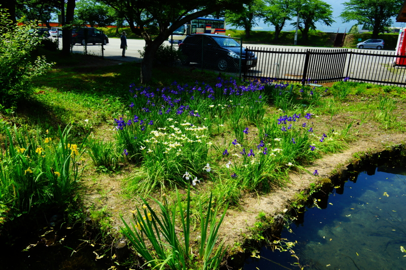 f:id:GSX-R1000:20140606134545j:image