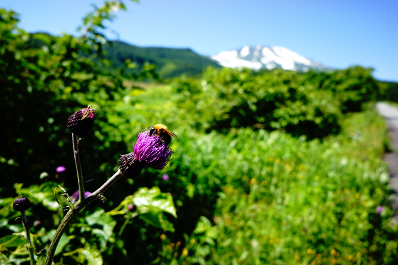 f:id:GSX-R1000:20140628104520j:image