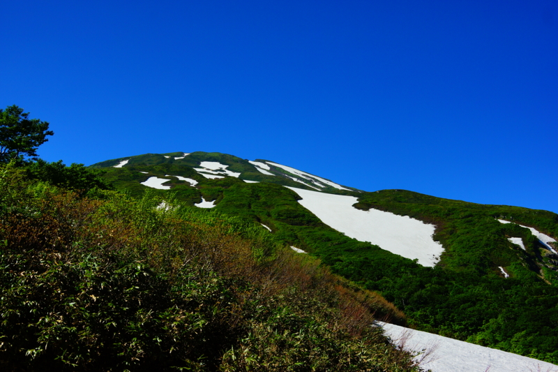 f:id:GSX-R1000:20140628110402j:image