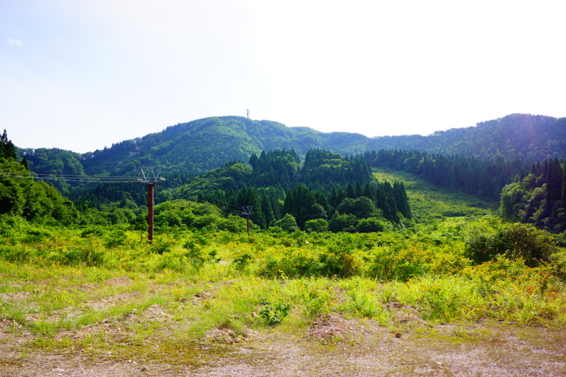 f:id:GSX-R1000:20140706200000j:image