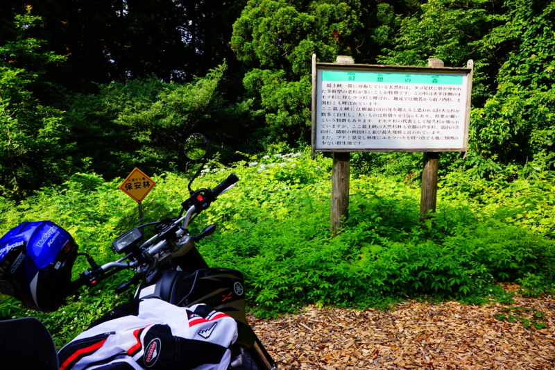 f:id:GSX-R1000:20140706200002j:image