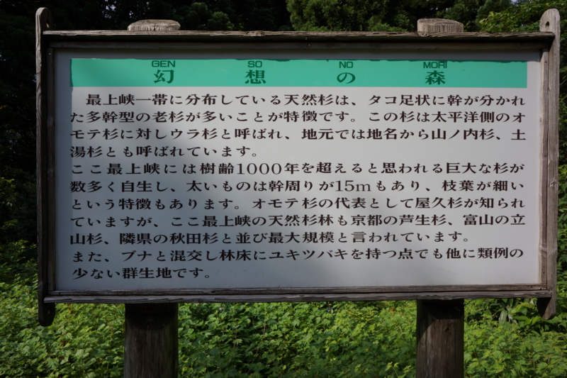 f:id:GSX-R1000:20140706200003j:image