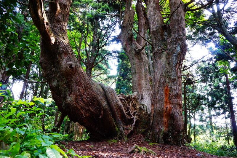 f:id:GSX-R1000:20140706200007j:image