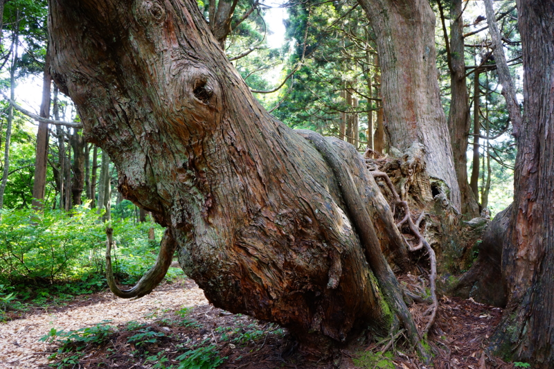 f:id:GSX-R1000:20140706200009j:image