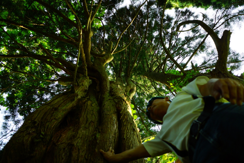 f:id:GSX-R1000:20140706200011j:image