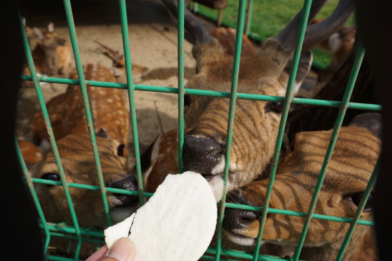 f:id:GSX-R1000:20140712212527j:image