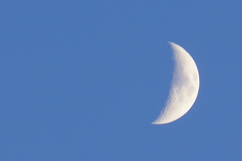 f:id:GSX-R1000:20140803100307j:image