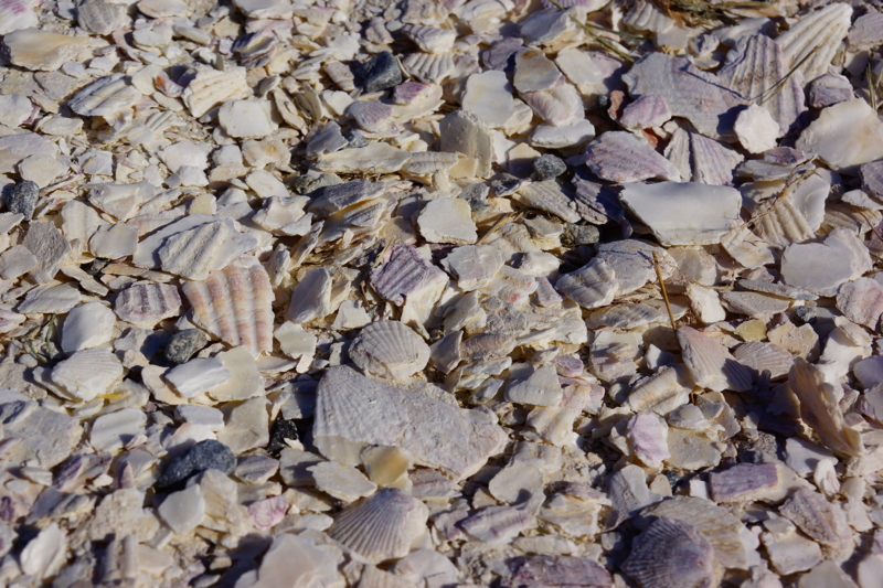 f:id:GSX-R1000:20140828215408j:image