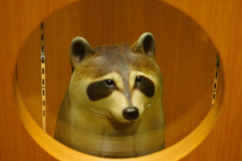 f:id:GSX-R1000:20140903193352j:image