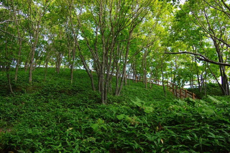 f:id:GSX-R1000:20140903193722j:image