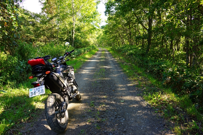 f:id:GSX-R1000:20140903201242j:image