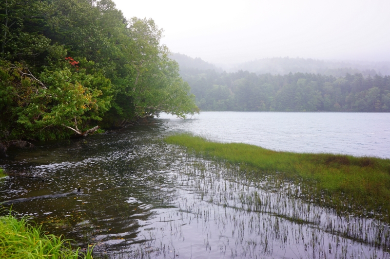 f:id:GSX-R1000:20140906201712j:image