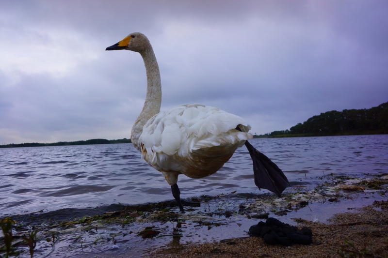 f:id:GSX-R1000:20140906201846j:image