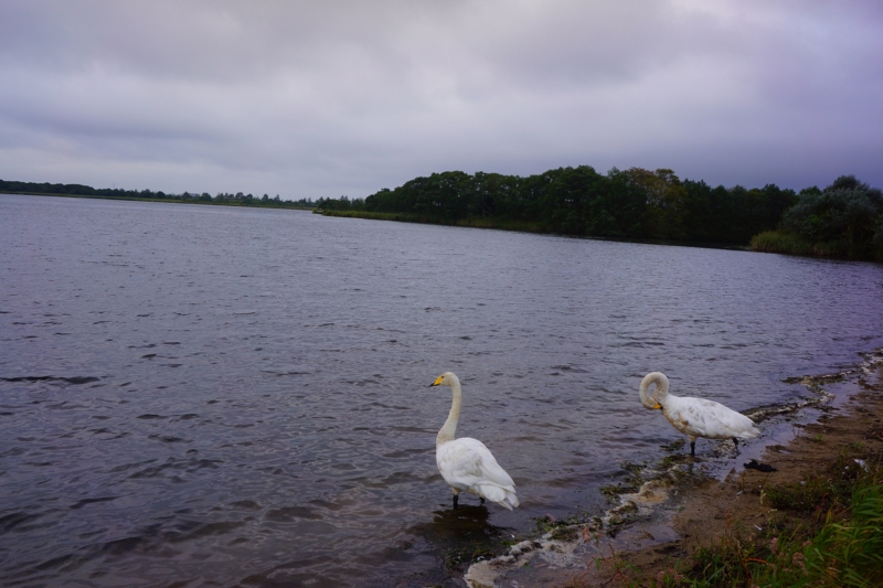 f:id:GSX-R1000:20140906201855j:image