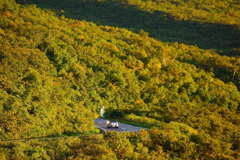 f:id:GSX-R1000:20140913210550j:image