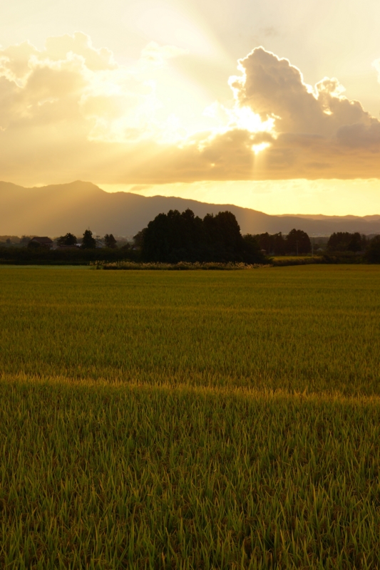 f:id:GSX-R1000:20140914213105j:image