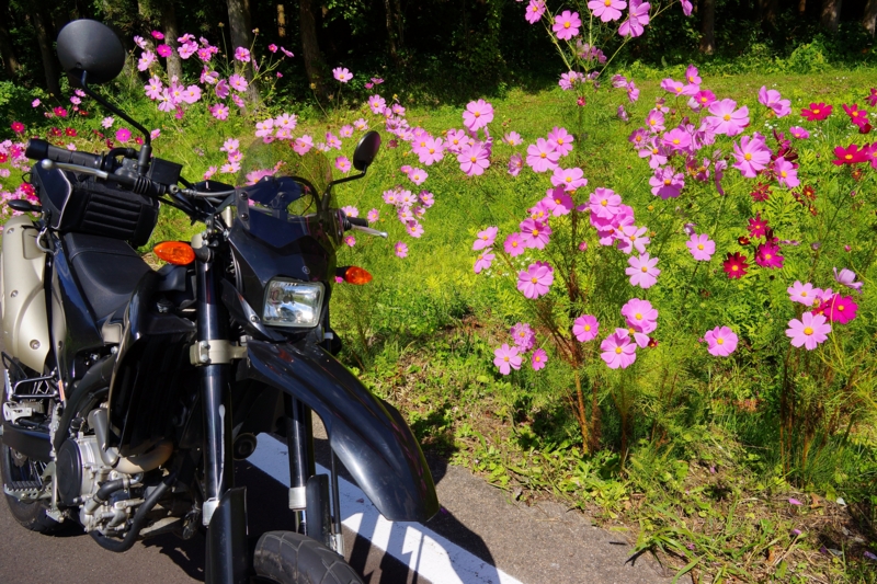 f:id:GSX-R1000:20140921203052j:image