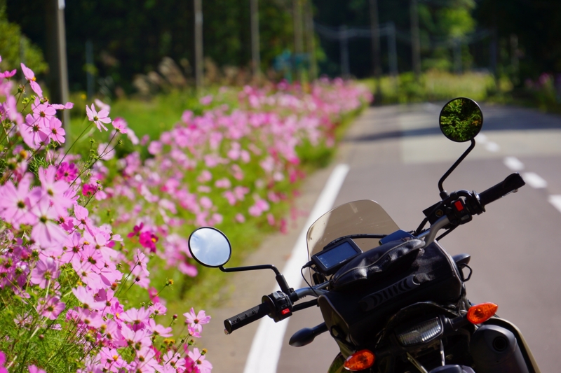 f:id:GSX-R1000:20140921203102j:image