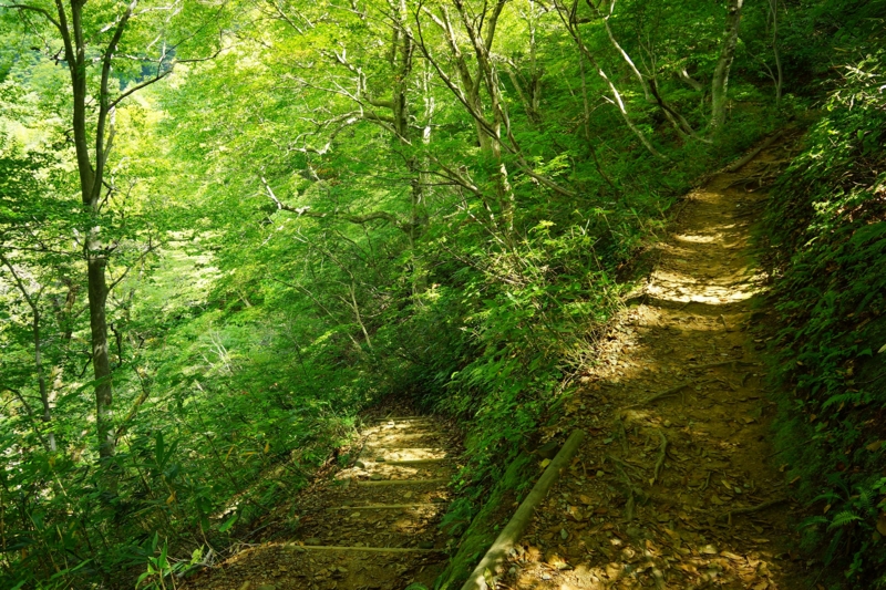 f:id:GSX-R1000:20140921203211j:image