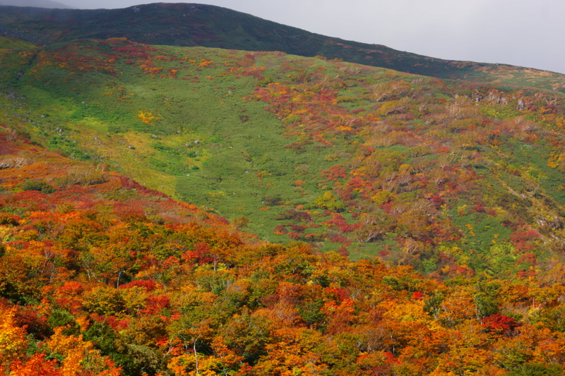 f:id:GSX-R1000:20141004213618j:image