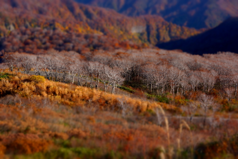 f:id:GSX-R1000:20141027190540j:image f:id:GSX-R1000:20141027190540j:image