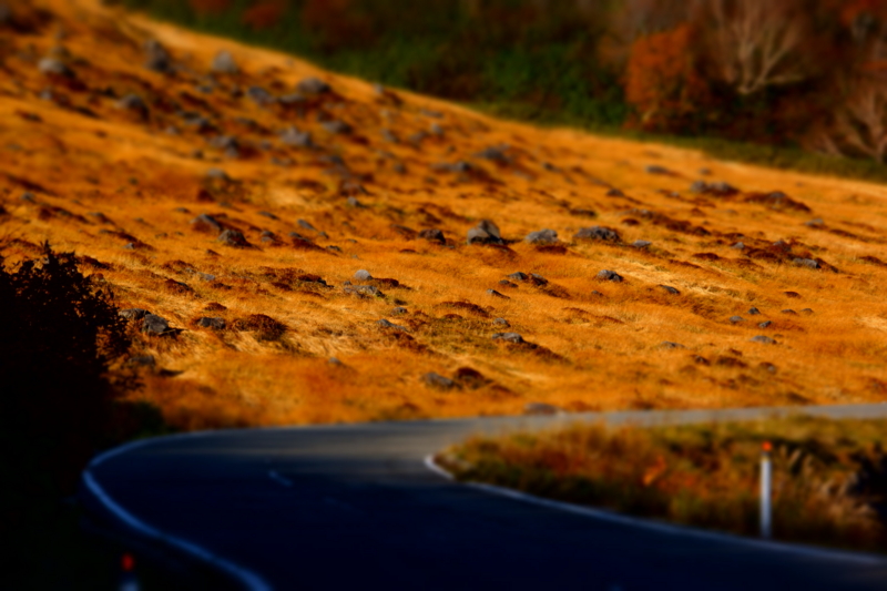 f:id:GSX-R1000:20141027190541j:image f:id:GSX-R1000:20141027190541j:image