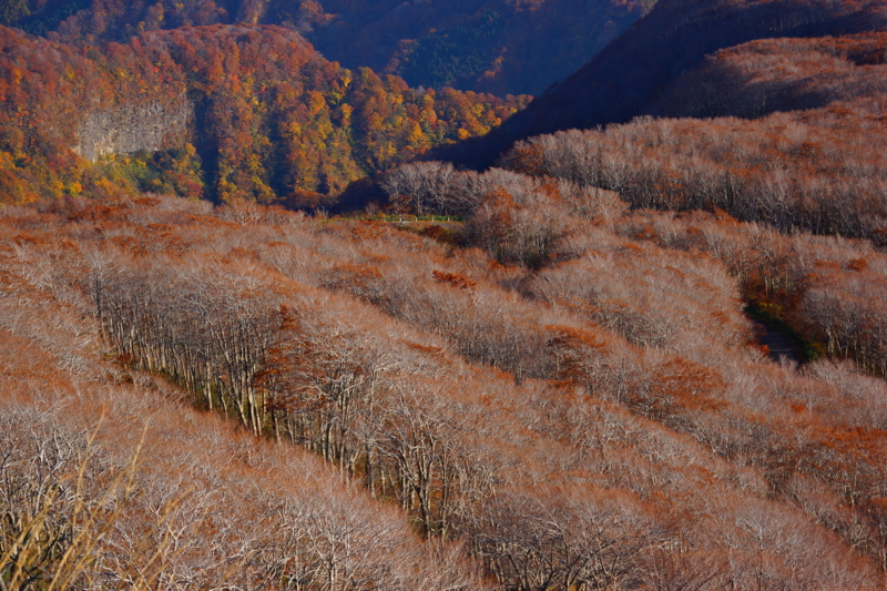 f:id:GSX-R1000:20141027190547j:image f:id:GSX-R1000:20141027190547j:image