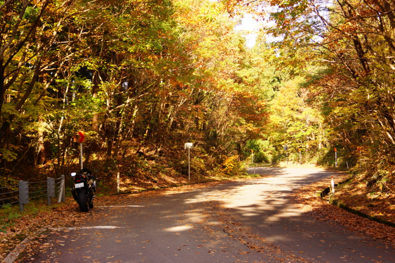 f:id:GSX-R1000:20141030174144j:image