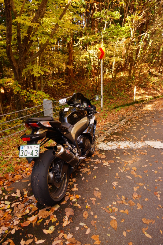 f:id:GSX-R1000:20141030174145j:image
