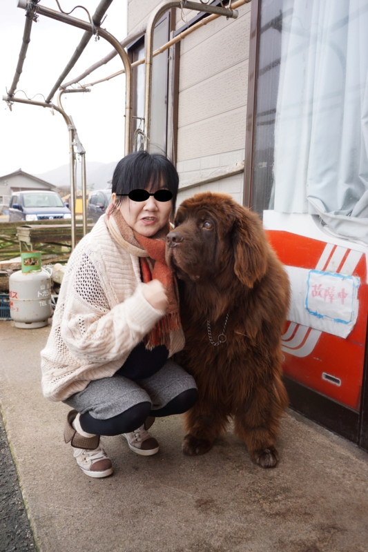 f:id:GSX-R1000:20141117101835j:image