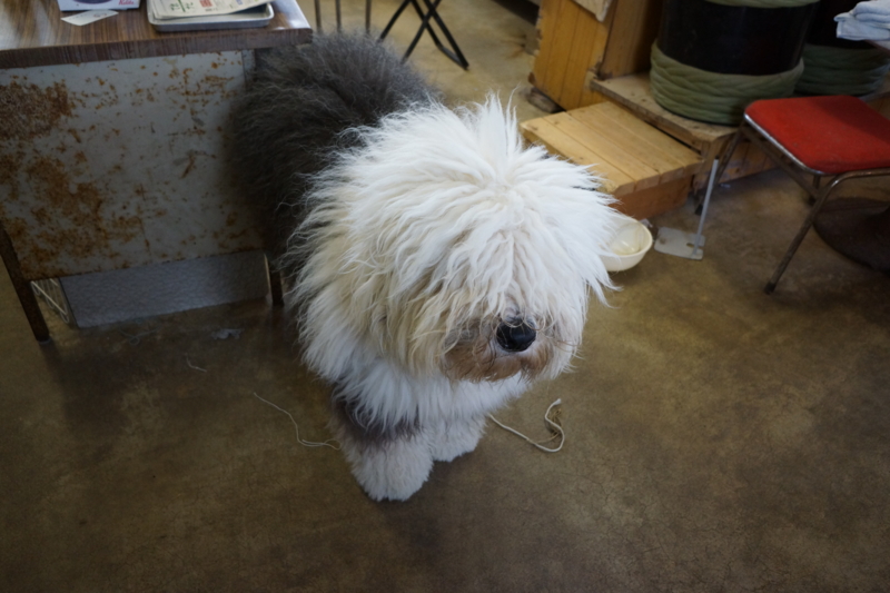 f:id:GSX-R1000:20141117101836j:image