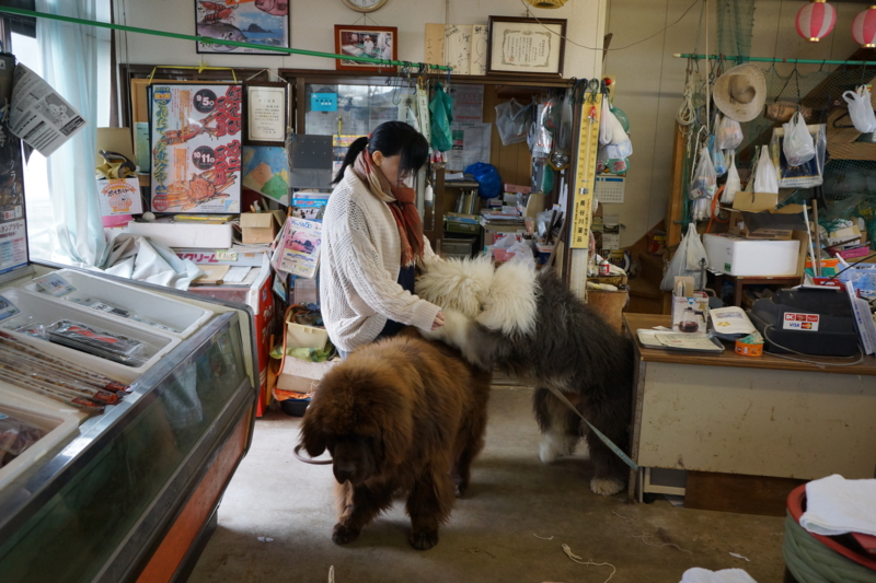 f:id:GSX-R1000:20141117101838j:image