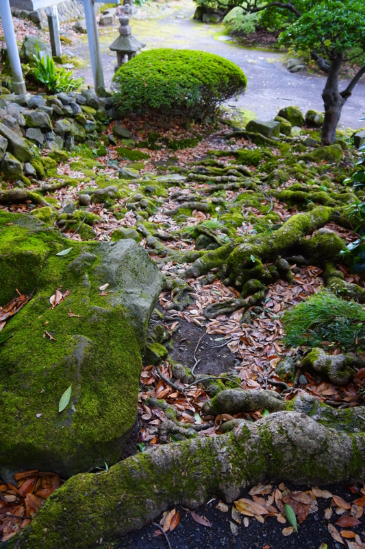 f:id:GSX-R1000:20141118215204j:image f:id:GSX-R1000:20141118215204j:image