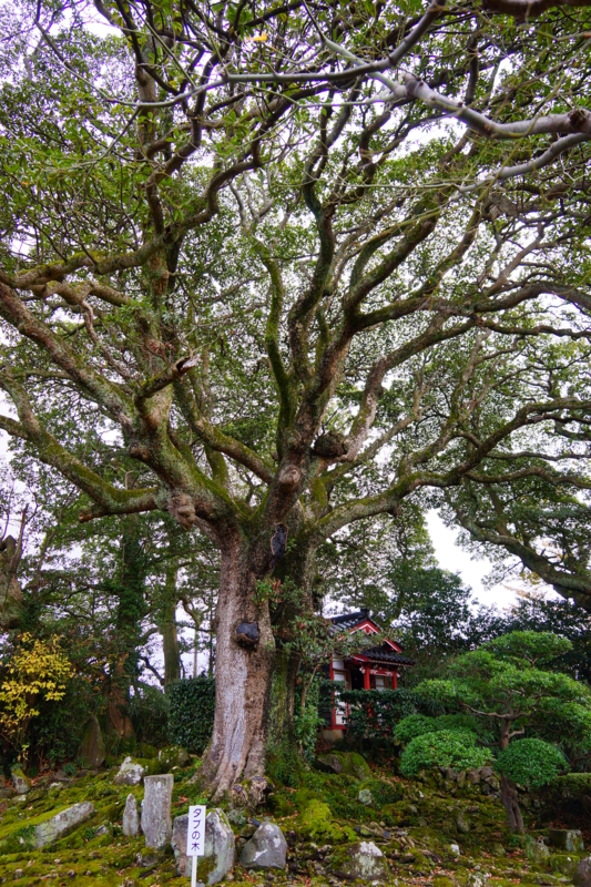 f:id:GSX-R1000:20141118215209j:image f:id:GSX-R1000:20141118215209j:image