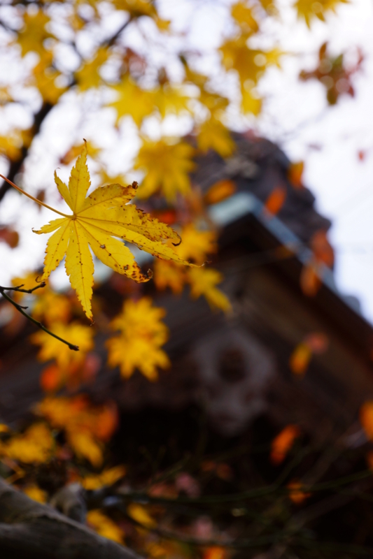 f:id:GSX-R1000:20141118215216j:image f:id:GSX-R1000:20141118215216j:image