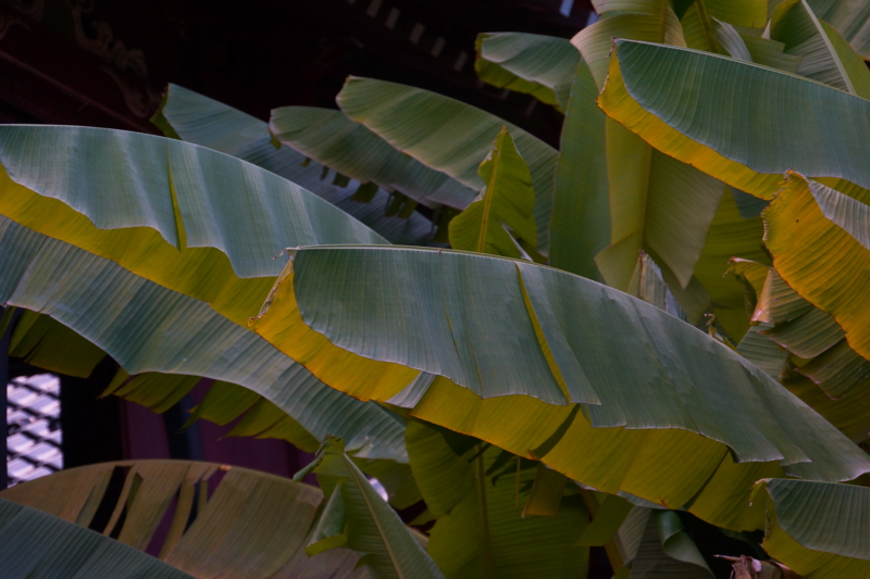 f:id:GSX-R1000:20141118215218j:image f:id:GSX-R1000:20141118215218j:image