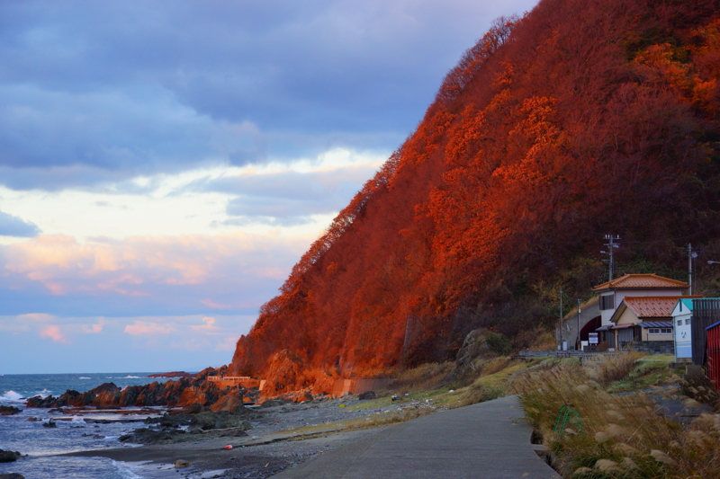 f:id:GSX-R1000:20141119173638j:image f:id:GSX-R1000:20141119173638j:image